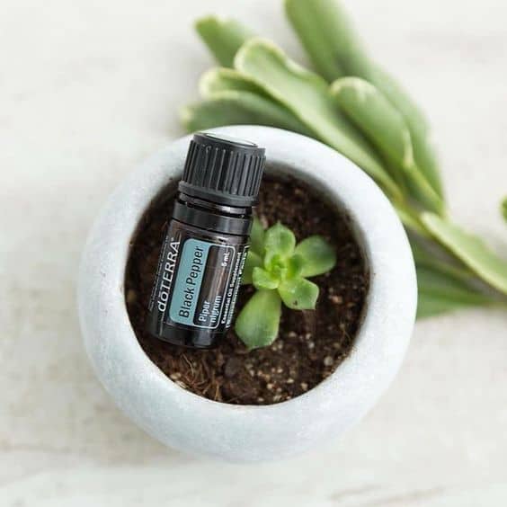 doTERRA Black Pepper (Black pepper) Essential Oil (5ml) doTERRA