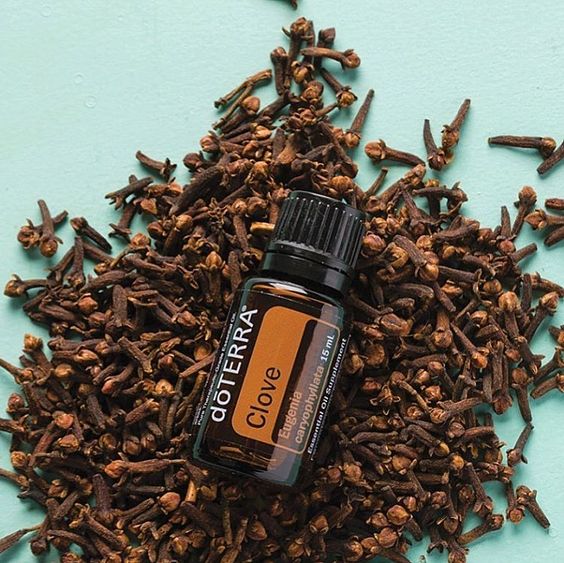 doTERRA Clove Study doTERRA AromaPro Essential Oils