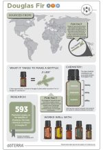 doTERRA Douglas Fir (Douglas fir) Essential Oil (5ml) - Image 2