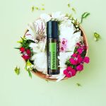 Melaleuca Touch