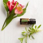doTERRA Summer Savory (Savory) Essential Oil (5ml)