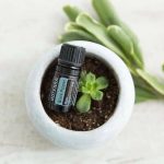 doTERRA Black Pepper (Black Pepper) Essential Oil (5ml)