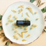 doTERRA Blue Tansy essential oil (5ml)