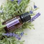 doTERRA Lavender (Lavender) Essential Oil (15ml)