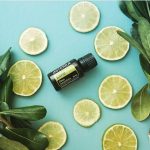 doTERRA Lime (Lime) Essential Oil (15ml)