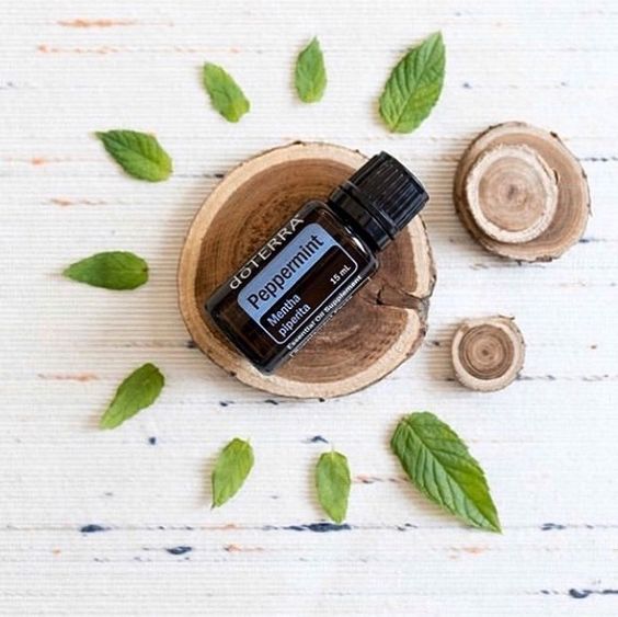 Peppermint-Oil doTERRA Peppermint Essential Oil (15ml) - Image 1