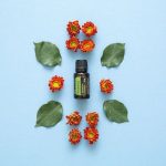 doTERRA Rosemary (Rosemary) Essential Oil (15ml)
