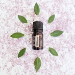 doTERRA Sandalwood Hawaiian (Sandalwood) Essential Oil (5ml)