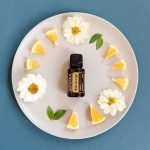 doTERRA Wild Orange (Wild Orange) Essential Oil (15ml)