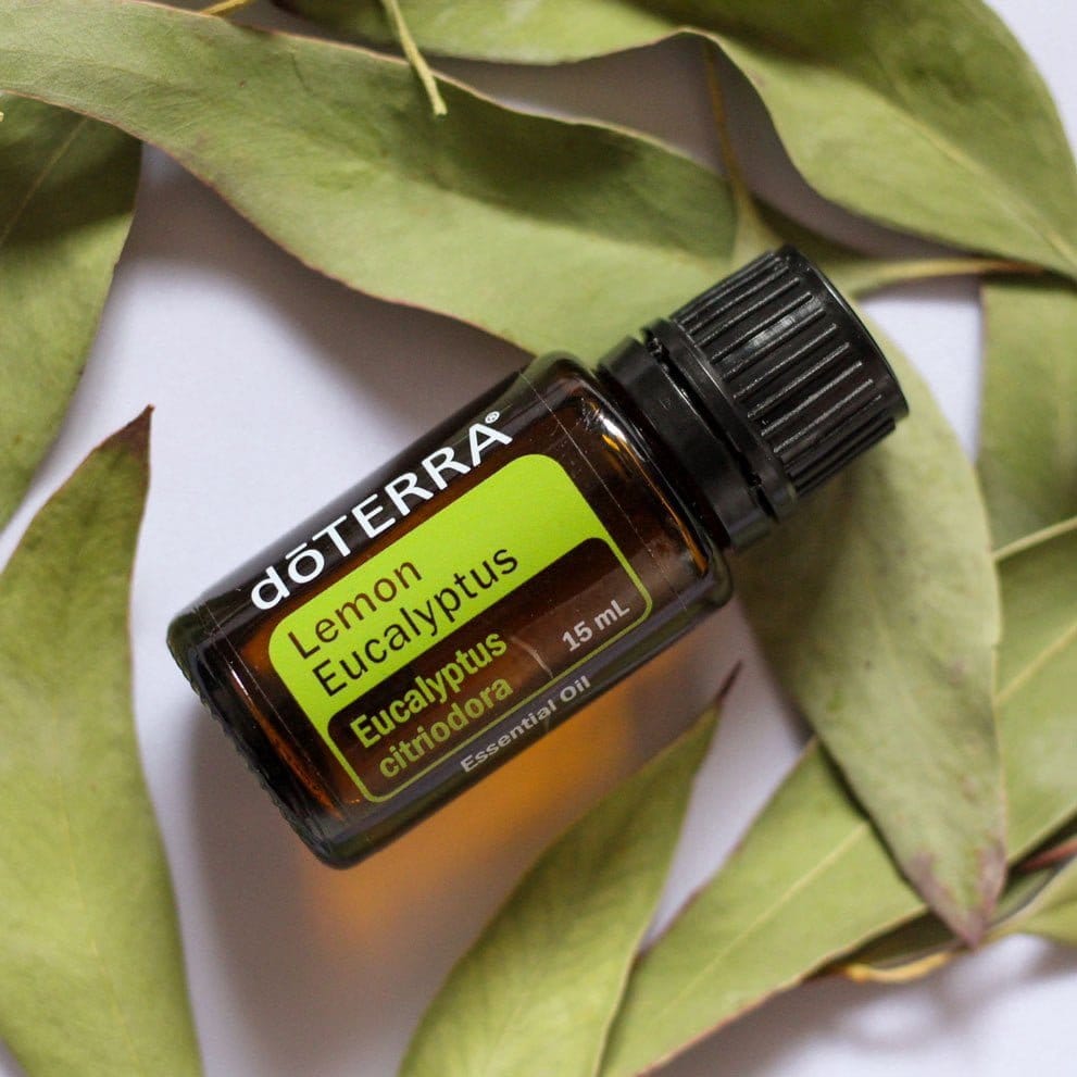 doTERRA-Lemon-Eucalyptus doTERRA Lemon Eucalyptus (Lemon Eucalyptus) Essential Oil (15ml) - Image 1