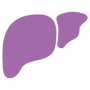 liver